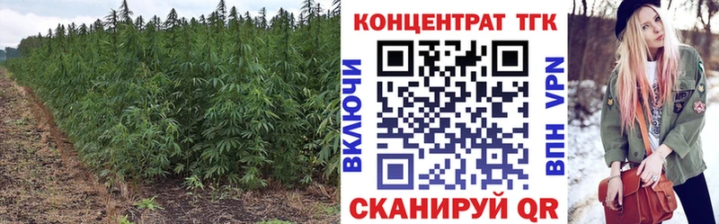 Дистиллят ТГК гашишное масло наркошоп Нижнеудинск